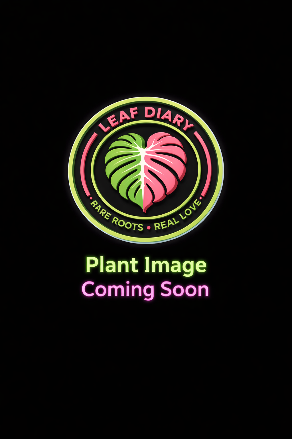 Palmstreet Image